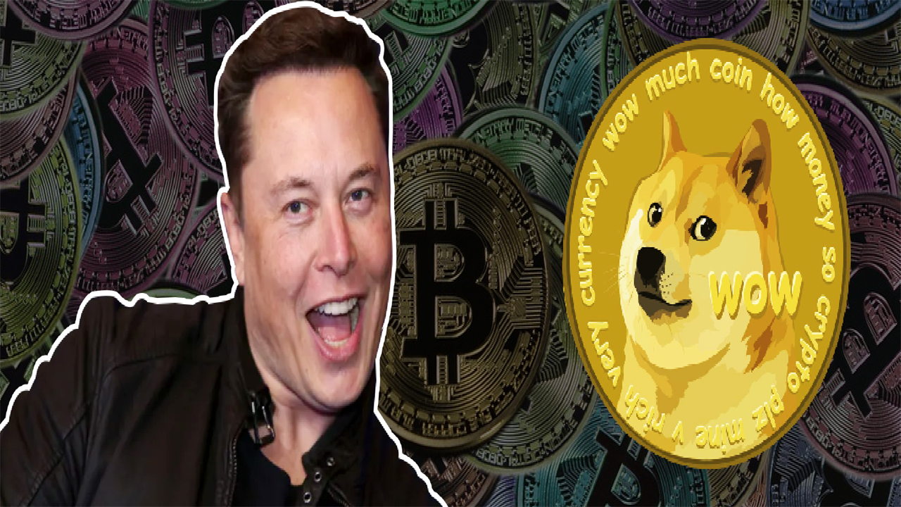 Dogecoin investors’ obsession increased due to Elon Musk’s purchase of Twitter.
