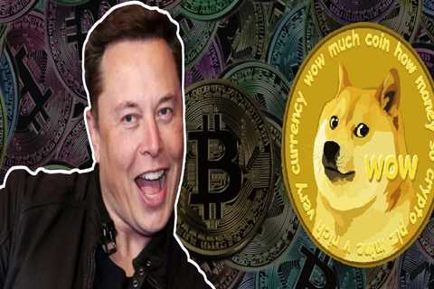 Dogecoin investors’ obsession increased due to Elon Musk’s purchase of Twitter.