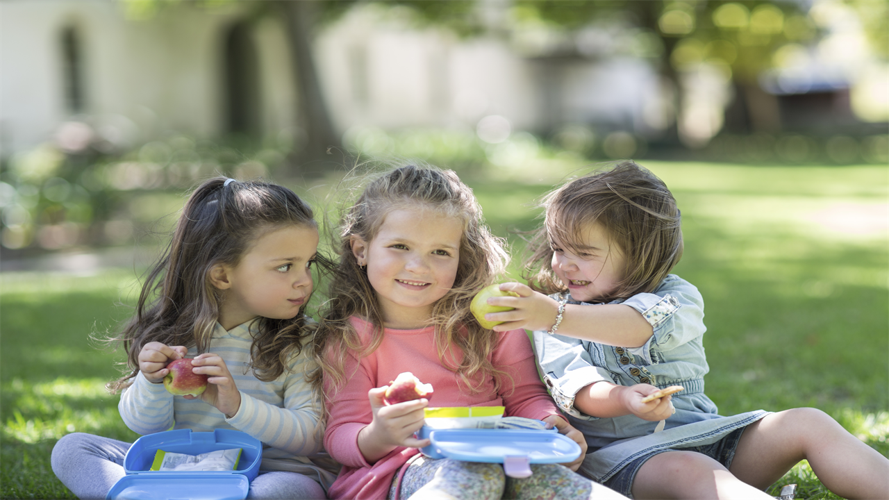 Eleven top deals on snacks and packed lunches for kids to save on days out including Aldi dupes