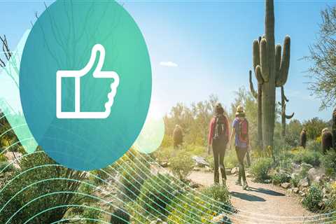 Unlock the Wonders of Camping in Arizona: Local Businesses and Blogs in Scottsdale