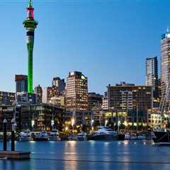 Types of Business Structures in New Zealand: A Guide for Entrepreneurs
