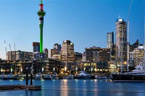 Types of Business Structures in New Zealand: A Guide for Entrepreneurs
