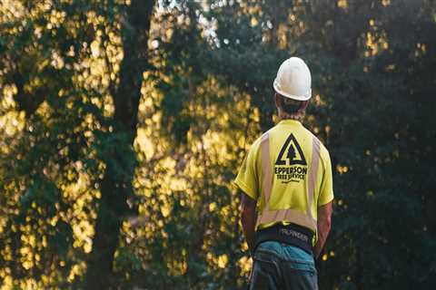 Why Stump Grinding Service Is A Must When Following Effective Home Selling Tips In Leander, TX