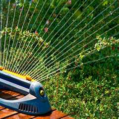 Bright Ideas: The Importance Of Lighting And Irrigation In Your Orlando Fix And Flip Project