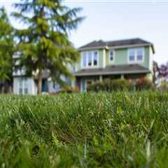 Why Are Grass Cutting Services Essential For Properties Before Listing In The Real Estate Buyer's..
