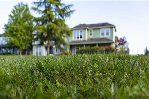 Why Are Grass Cutting Services Essential For Properties Before Listing In The Real Estate Buyer's..